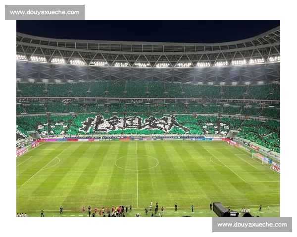 申花vs水源焦点对决攻防博弈揭示赛场新走向球迷期待战术较量升级