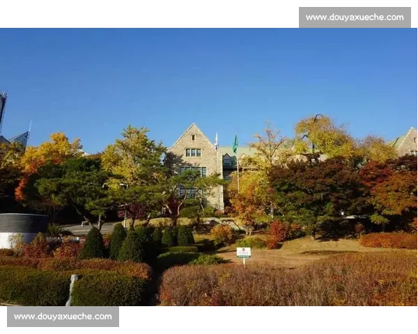 首尔与釜山城市对决经济文化旅游竞争全景观察发展格局与未来走向